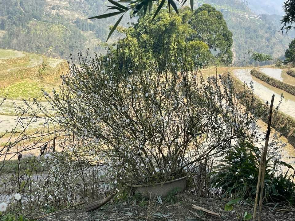 Incredible Cycling Tour in Vietnam's Far North 15 Days
